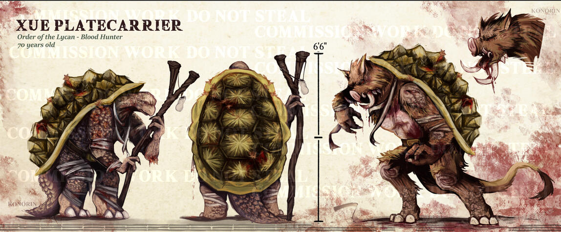 Commission Dnd (RPG) Original Character